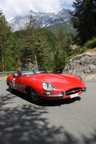 Plants: image 4 0f 4 thumb