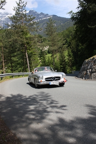 Plants: image 2 0f 4 thumb