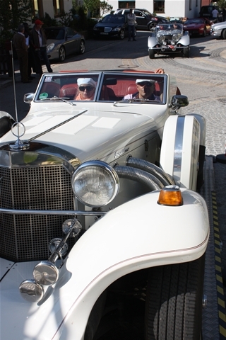 Plants: image 2 0f 4 thumb